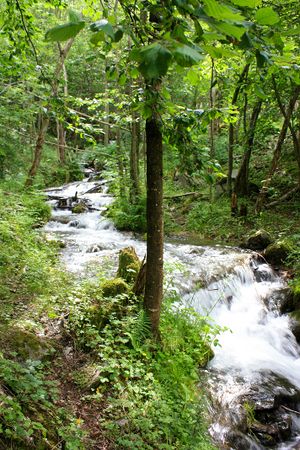 Fluss kurz vor El Serrat Fluss kurz vor El Serrat